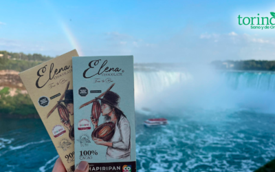 Las mujeres cacaoteras del llano: resilientes y guerreras