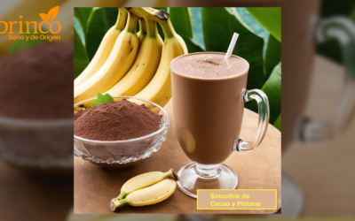 Smoothie de Cacao y Plátano – Aliméntate saludablemente con TORINCO